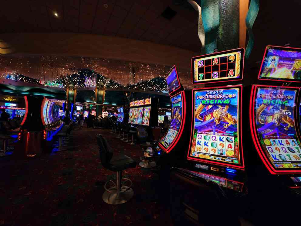 Paradise 8 Casino: Complete Expert Review - Is This Paradise Lost or Found?