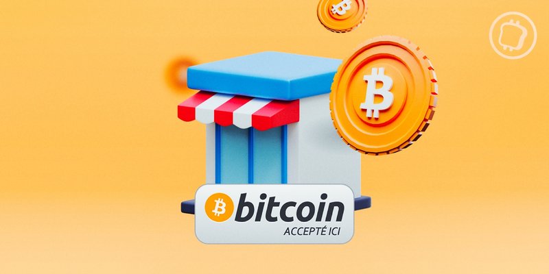 Les avantages des paiements en Bitcoin pour les joueurs en ligne, canadian bitcoin casino deposit with credit card